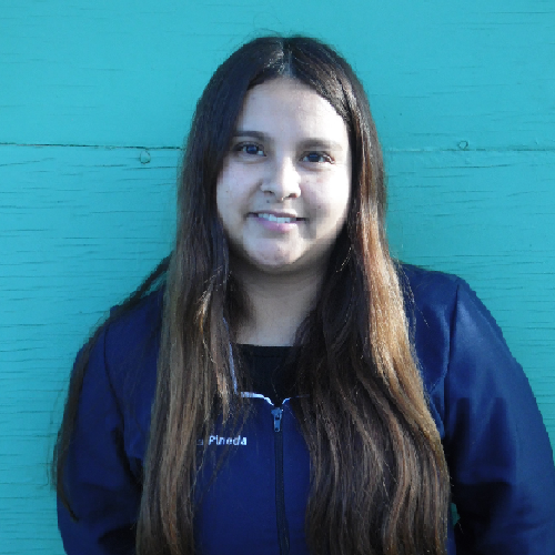 Romina Pineda Toledo