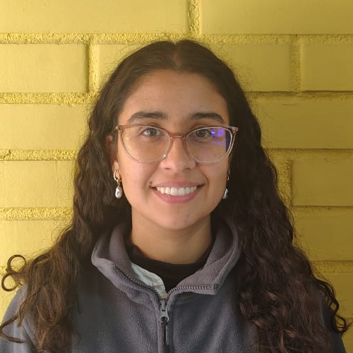 Camila Ilabaca Allendes
